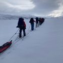 Dragon Telemark Blue 2024