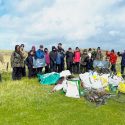 Tiree Tiger 2024