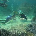 Venturer Malta Dive 2024