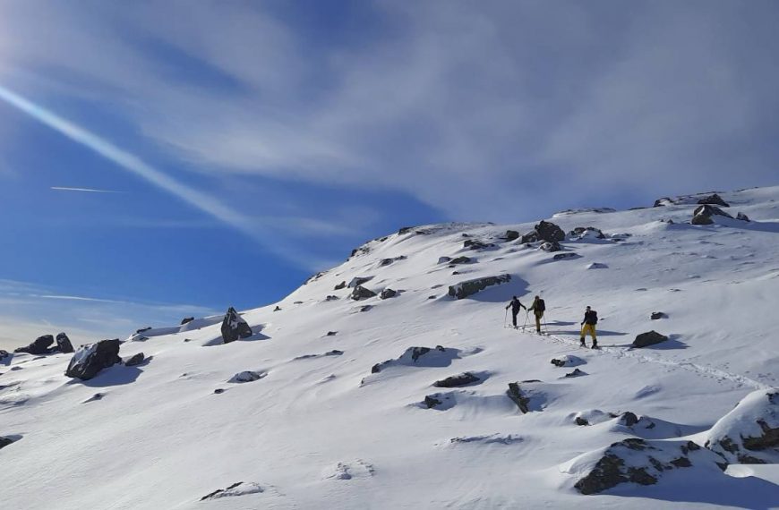 Cockney Regain 26 2026