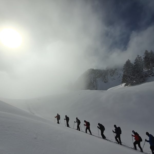 Venturer Matravers Snowshoe 26 2026