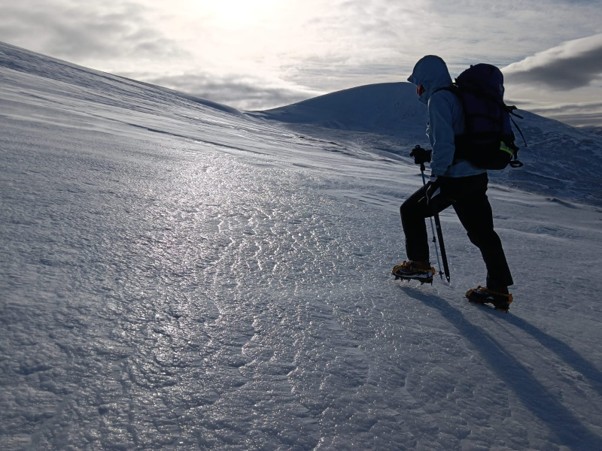 Tiger Spindrift 26(A) 2026