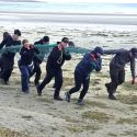 Tiree Tiger 2026